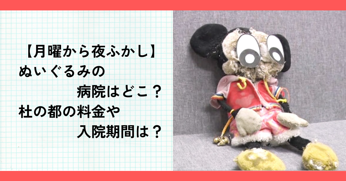 【月曜から夜ふかし】ぬいぐるみの病院はどこ？杜の都の料金や入院期間は？