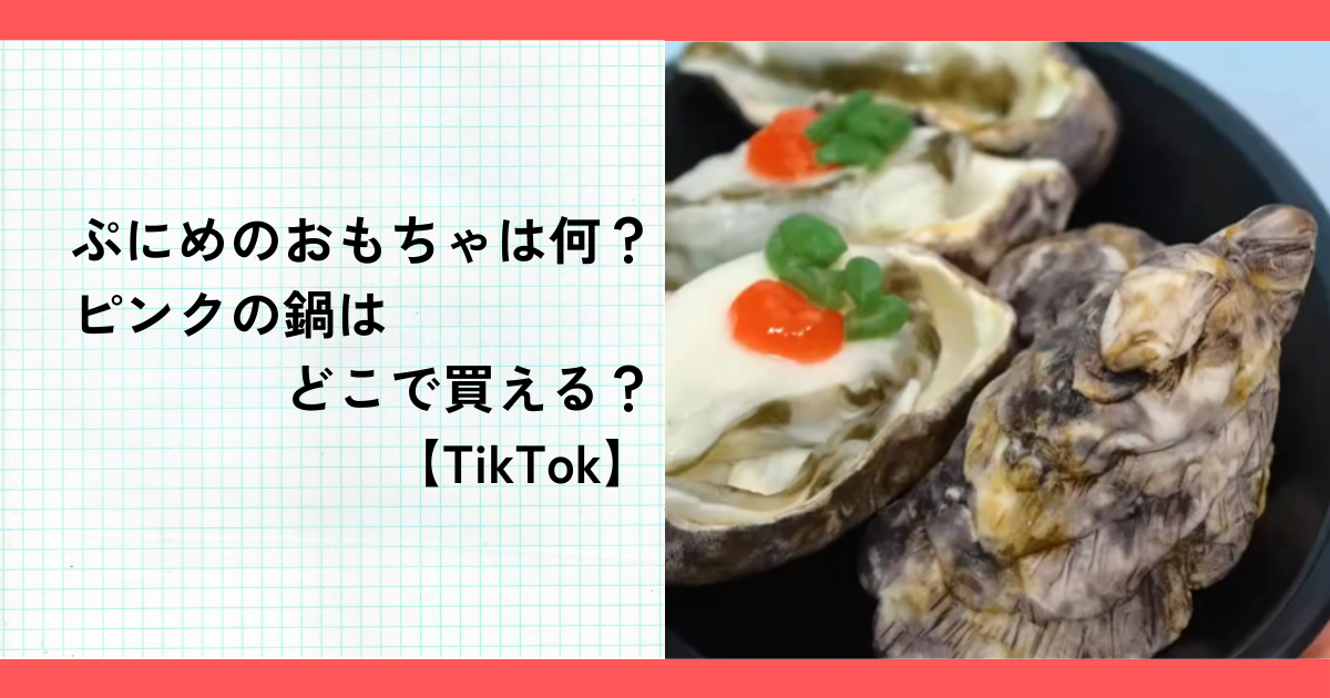 ぷにめのおもちゃは何？ピンクの鍋はどこで買える？【TikTok】