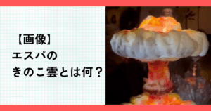 【画像】エスパのきのこ雲とは何？ニンニンの炎上理由はなぜ？【aespa】